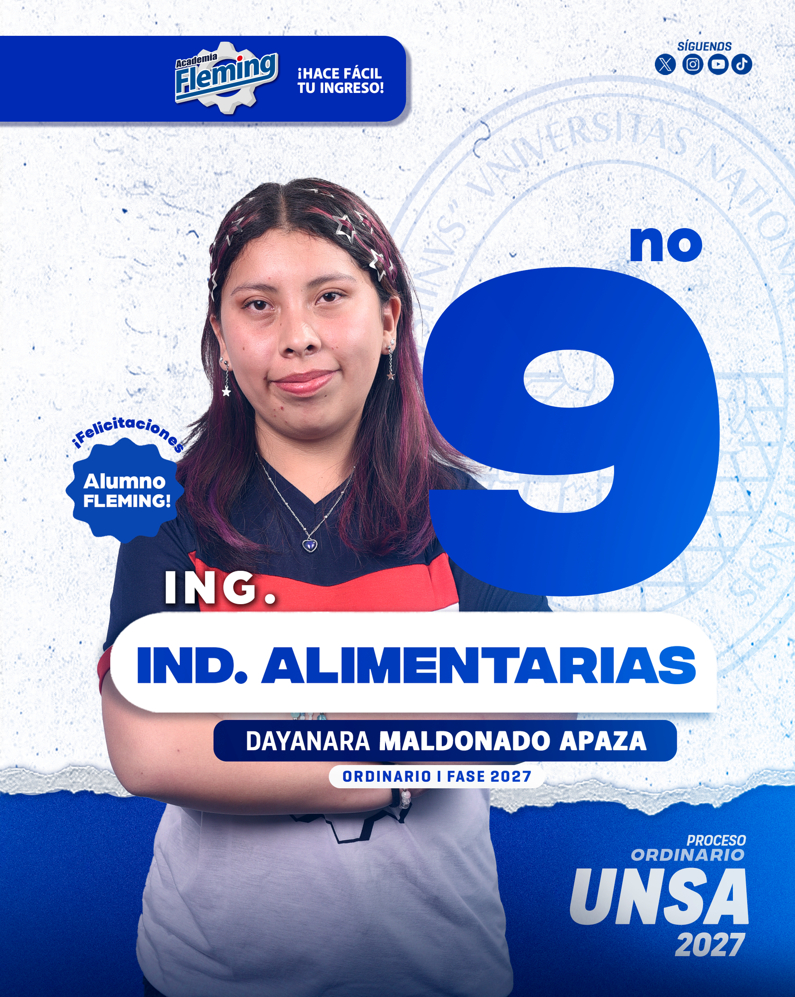 DAYANARA MALDONADO APAZA IDN ALIMENTARIAS